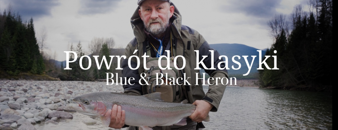 Powrót do klasyki – Blue & Black Heron