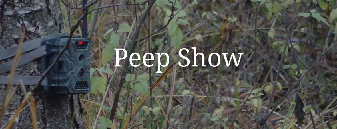 Peep Show